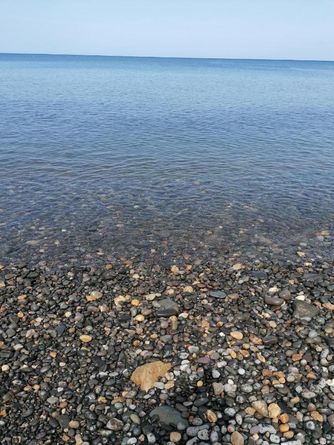 Insolite Arawakane Gites Du Manial Pointe-Noire Dış mekan fotoğraf